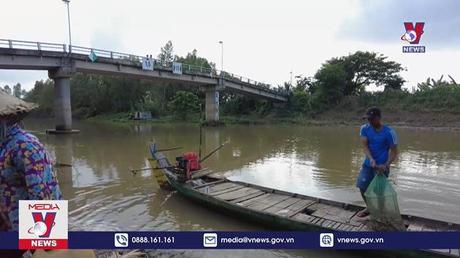 Đồng Tháp nhộn nhịp mùa cá ra sông 