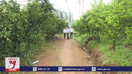 Đưa sản phẩm OCOP Bình Dương vươn xa