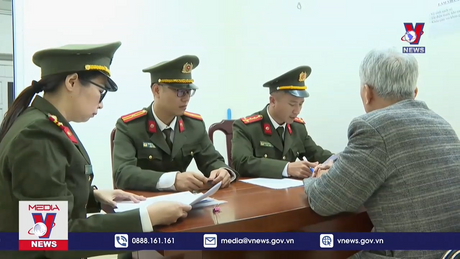 Khởi tố vụ án khai thác tận thu rừng thông thiệt hại hàng tỷ đồng