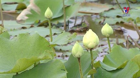 Góc nhìn Vnews: Phát huy vai trò của trí thức khoa học công nghệ