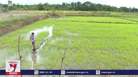 Công trình thủy lợi sau Cần Đơn “giải hạn” cho người dân vùng biên