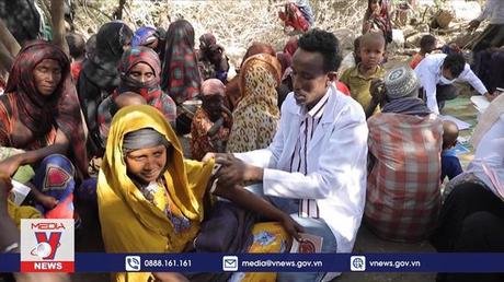 Liên hợp quốc kêu gọi đóng góp cho Quỹ ứng phó khẩn cấp