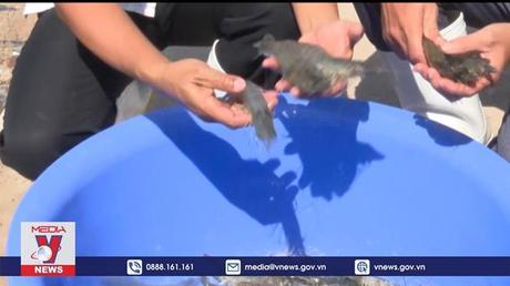 Tiền Giang nuôi tôm ứng dụng công nghệ cao