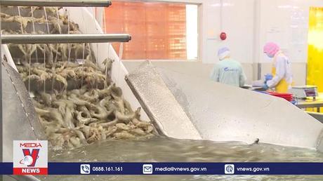 Xuất khẩu thủy sản cán mốc 10 tỷ USD 