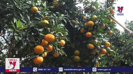 Bản tin Thời sự 17h ngày 11/12/2022