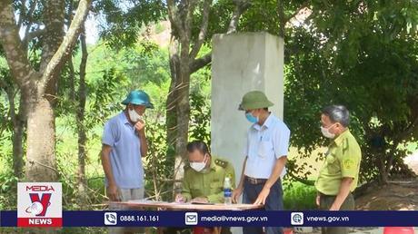 Nghệ An: Hàng trăm cán bộ chuyên trách bảo vệ rừng xin nghỉ việc