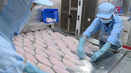 Bản tin tiếng Trung ngày 11/12/2022