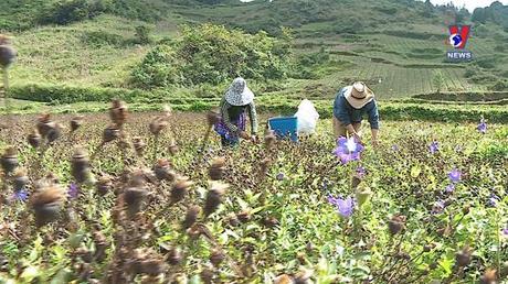 Sức mạnh Đại đoàn kết ngày 11/12/2022