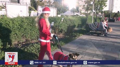 Giáng sinh rộn ràng trên khắp thế giới