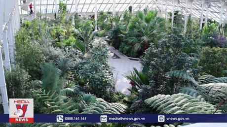 Các loài thực vật đang kêu cứu