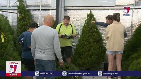 Màu của sự sống