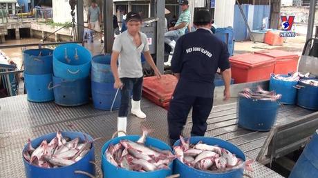 Nhật trình kinh tế ngày 13/12/2022