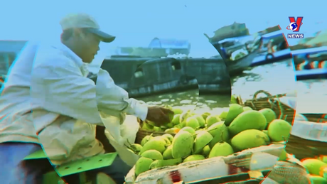 Hành trình Việt số 244: Men nồng của núi rừng Tây Nguyên