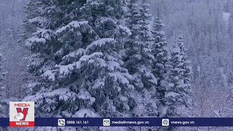 Tuyết bao trùm Châu Âu và Mỹ