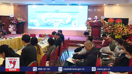 Hướng tới mục tiêu phát thải ròng bằng 0 vào năm 2050