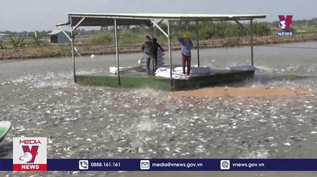 Đồng Tháp tôn vinh Ngành hàng cá tra 