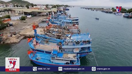 Ngư dân Ninh Thuận khai thác trên 126.800 tấn hải sản