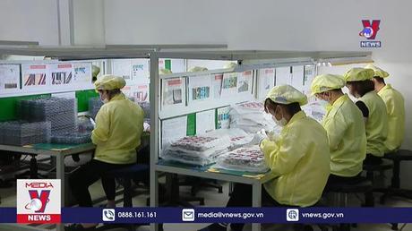 Khoảng 800.000 người rút BHXH một lần mỗi năm