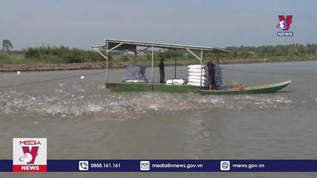 Năm 2022, kim ngạch xuất khẩu cá tra dự kiến đạt 2,4 tỷ USD