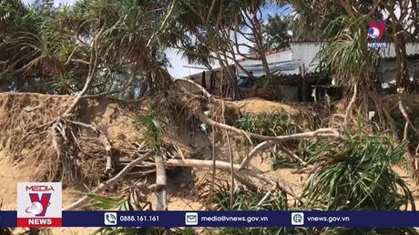 Quảng Ngãi công bố tình huống khẩn cấp về sạt lở bờ biển