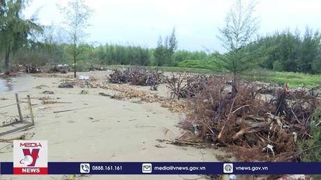 Thanh Hóa dành 130 tỷ đồng chống xâm thực bờ biển