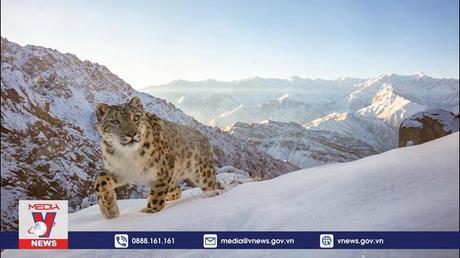 Công bố giải Nhiếp ảnh gia thiên nhiên năm 2022