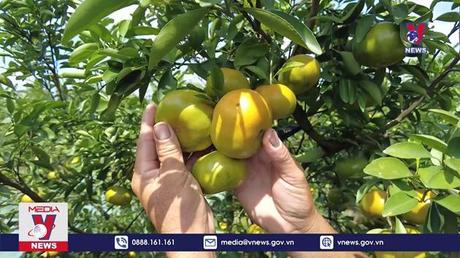 Bản tin Thời sự 8h ngày 16/12/2022