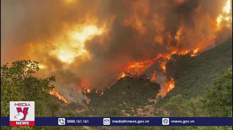 Thủ đô của Chile ban bố tình trạng khẩn cấp do cháy rừng