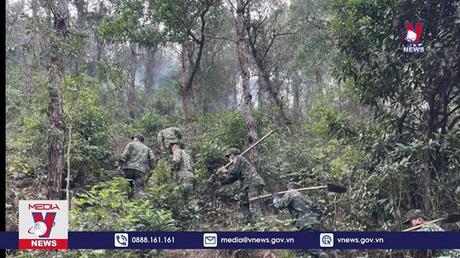 Dập tắt vụ cháy rừng ở đảo Vĩnh Thực, Móng Cái