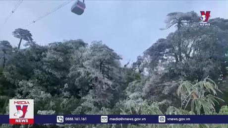 Băng giá, sương muối phủ trắng đỉnh Fansipan