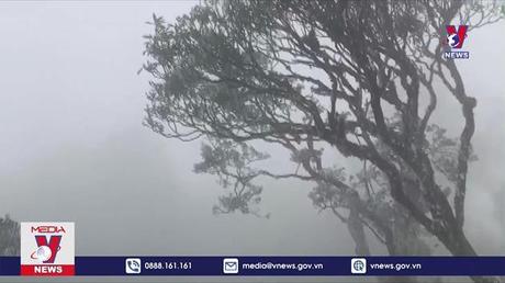 Bản tin Thời sự 11h ngày 18/12/2022