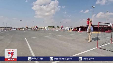 Cưỡi lạc đà chơi bóng ném