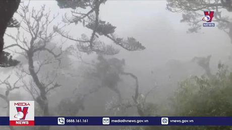 Băng giá, sương muối phủ trắng đỉnh Fansipan