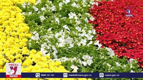Nghìn hoa Đà Lạt khoe sắc trước thềm Festival hoa lần thứ IX
