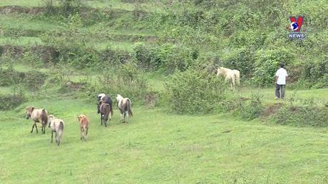Phát huy vai trò của người có uy tín trong đồng bào dân tộc thiểu số theo đạo