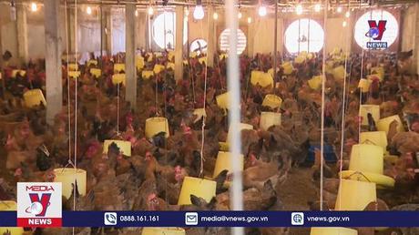 Khi nông dân học nghề để áp dụng vào sản xuất