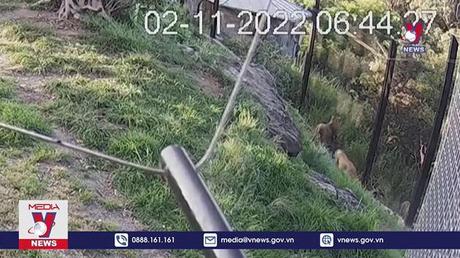 An ninh các công viên hoang dã trên thế giới