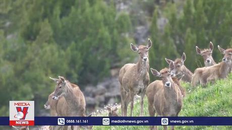 Thỏa thuận Côn Minh-Montreal bảo vệ sự đa dạng sinh học toàn cầu