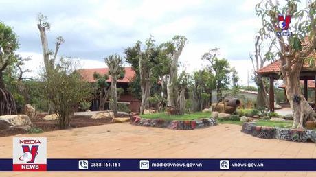 Gia Lai cần chấn chỉnh tình trạng vi phạm đất nông nghiệp