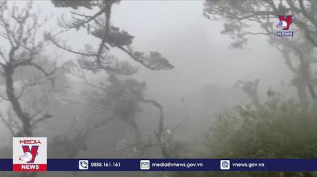 Du khách đổ về Fansipan ngắm băng giá