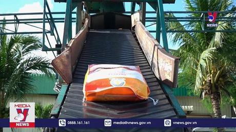 Gạo Việt tiến sát ngôi đầu thế giới