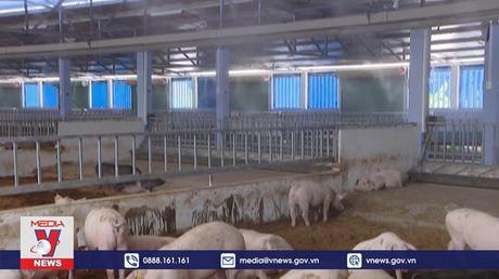 Nhật trình kinh tế: Nông nghiệp tuần hoàn tiến thêm một bước mới