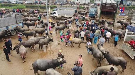Hành trình Việt 250: Chợ phiên Bắc Hà - Nét đẹp nguyên sơ ở vùng cao Tây Bắc