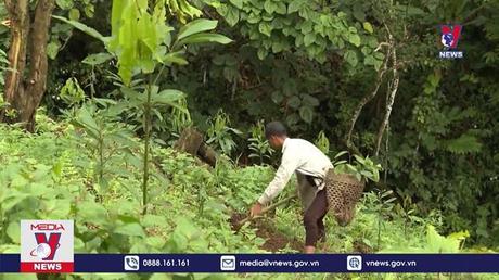 Bản tin thời sự 13h ngày 20/12/2022