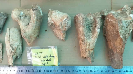 Công bố hồ sơ liên quan đến Di sản Mo Mường