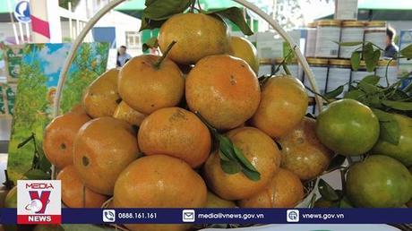 Bế mạc Diễn đàn Mekong Startup lần thứ I