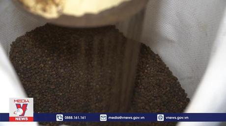 Thúc đẩy xuất khẩu hồ tiêu theo EVFTA