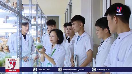 Tuyên Quang sản xuất 30 triệu cây giống cho vụ trồng rừng 2023