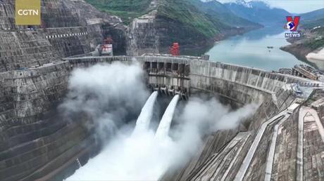 Khoa học và công nghệ: Lợi ích từ việc áp dụng công nghệ vào sản xuất lúa