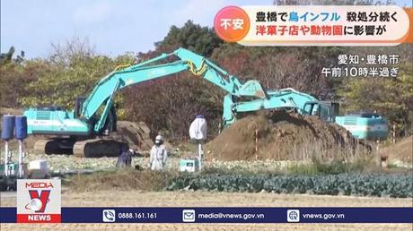 Nhật Bản tăng cường đối phó với dịch cúm gia cầm